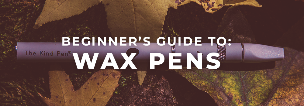 beginner's guide to wax pens