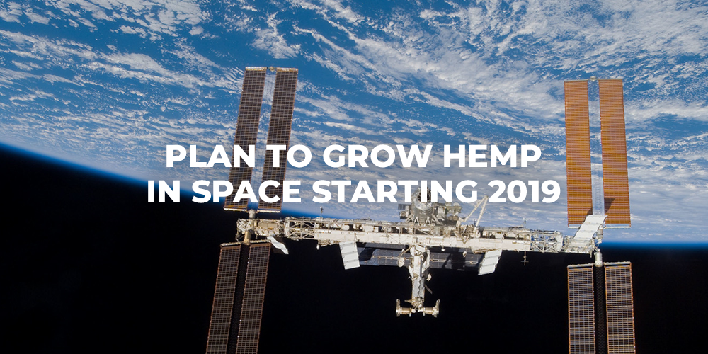 growing hemp in space